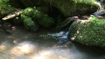 Testausflug mit Kasimir