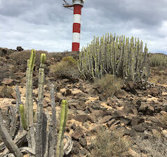 Die Südspitze von Teneriffa