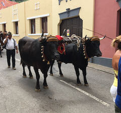 Romeria