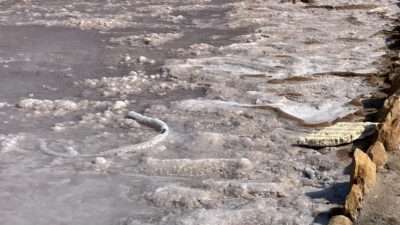 Die Kapverden – Sal