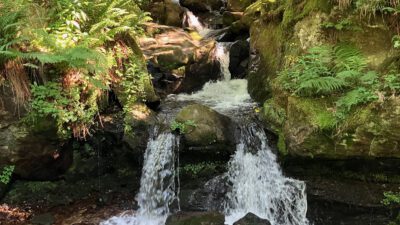 Sommerpause