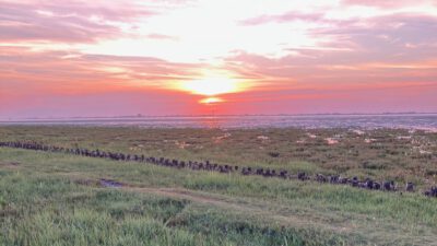 Juli, August, September – Sommer in Norddeutschland